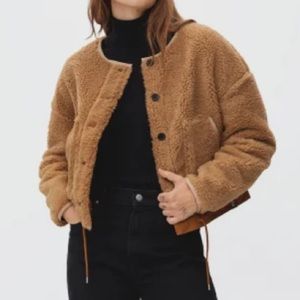 Everlane Teddy Coat